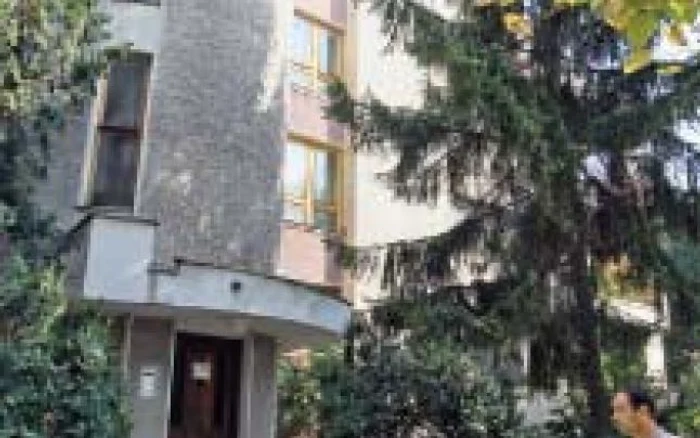 Vila doctorului Tiberius Mogoş, de pe Bulevardul Aviatorilor Foto: Marian Iliescu