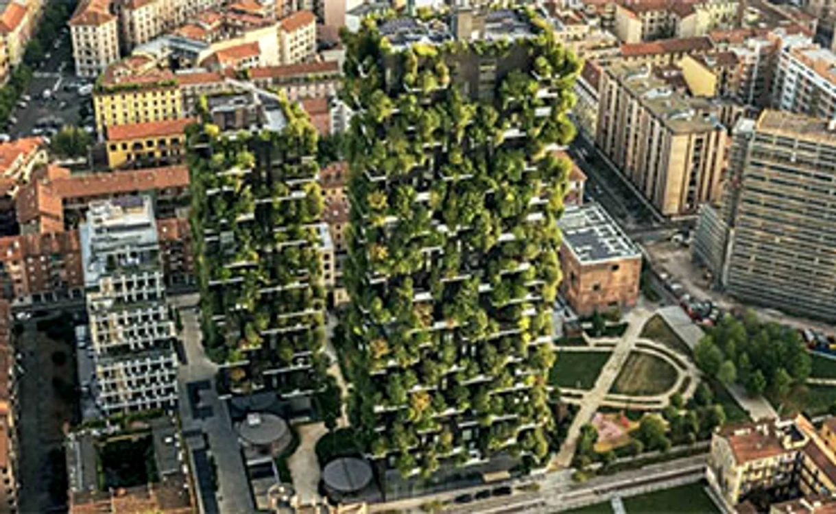 Plantele absorb particulele de CO2 şi purifică aerul din zona poluată a oraşului