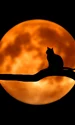 Modele de unghii de Halloween jpg