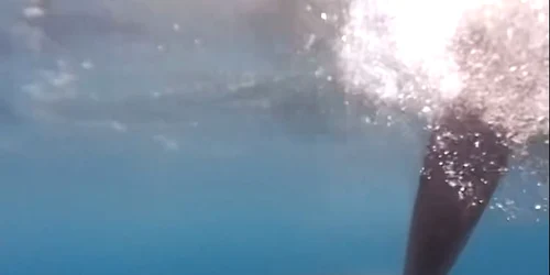 orci atac captura video FB Ocean race jpg