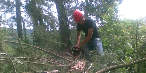 Austriecii caută drujbişti