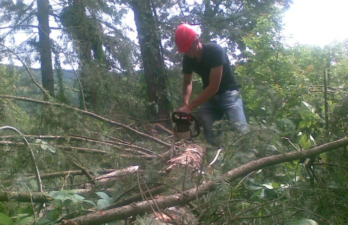 Austriecii caută drujbişti
