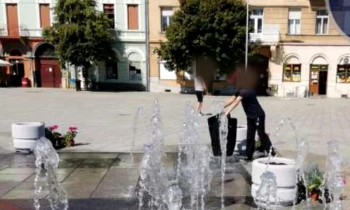 arad covoare1 jpg