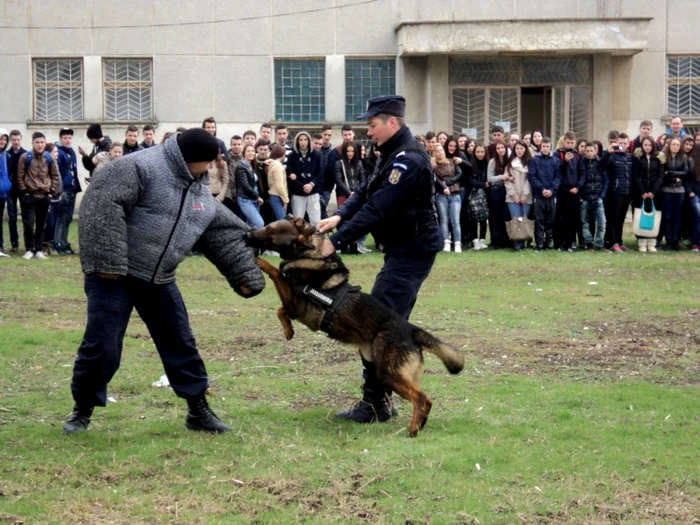 FOTO IJJ Braila