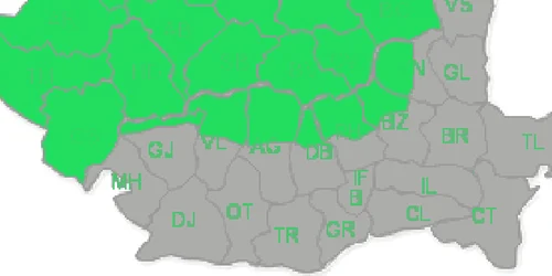 cod galben de canicula