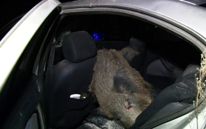 Mistretul a intrat în mașina aflată în mers