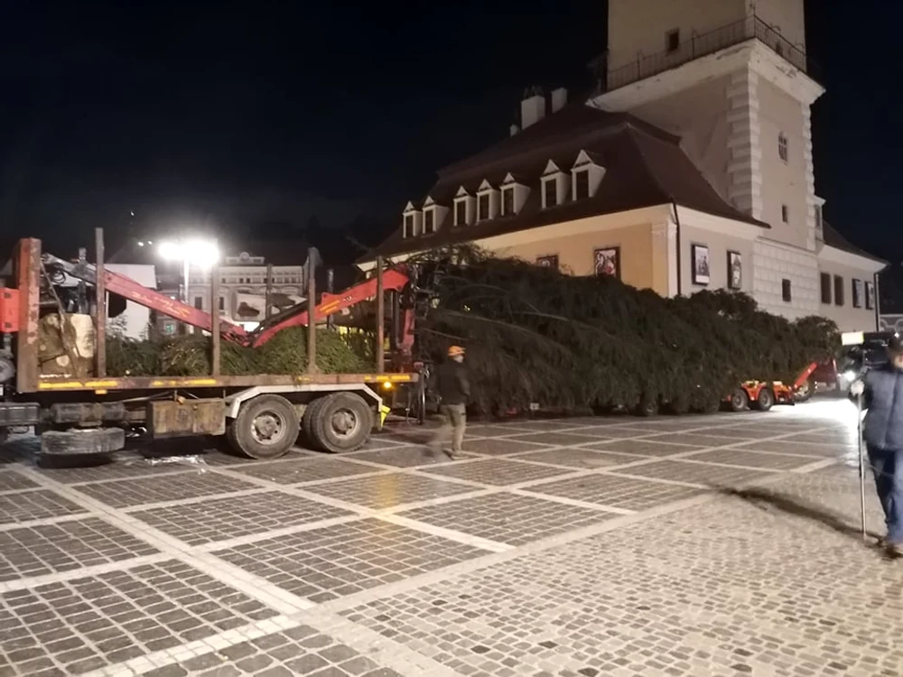 Bradul de Crăciun a sosit deja în Piața Sfatului din Brașov FOTO Primăria Brașov