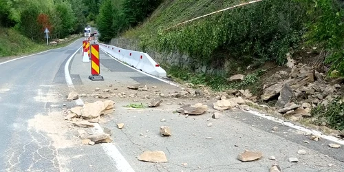 pietre drum national jpg