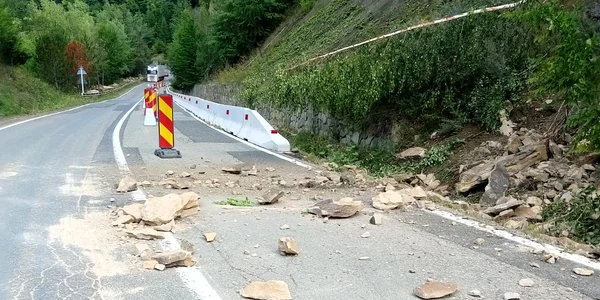 pietre drum national jpg