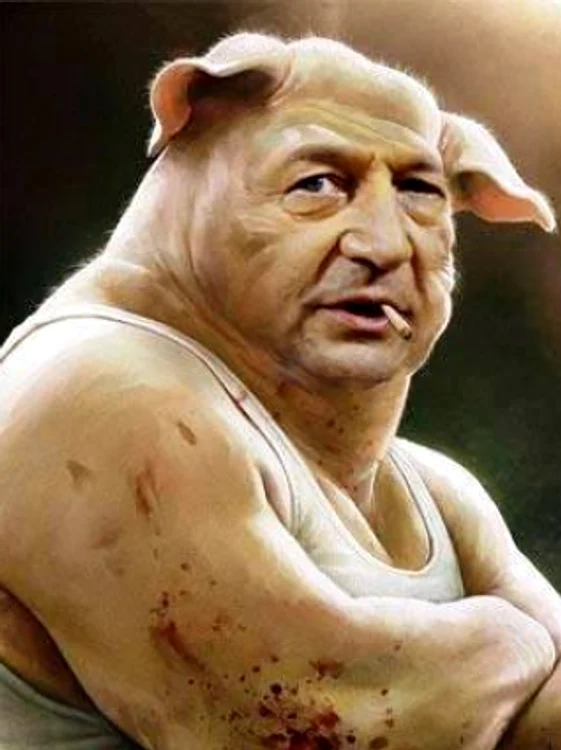 basescu porc