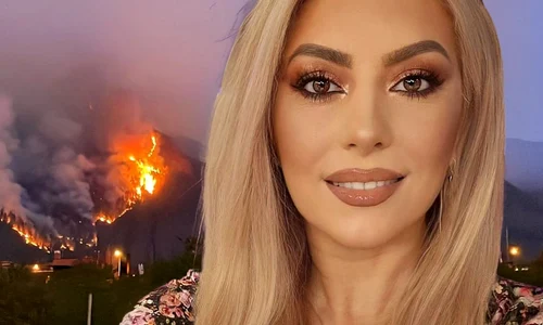 banner ornela pasăre png