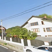 DN7 - centura Râmnicului se intersectează cu strada pe care a fost semnalată prezența unui urs Google Maps