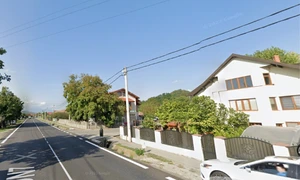 DN7 - centura Râmnicului se intersectează cu strada pe care a fost semnalată prezența unui urs Google Maps
