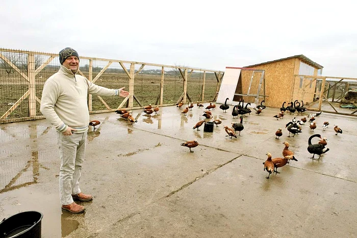 Curtea fermei lui Cătălin Sofonea e plină de păsăret