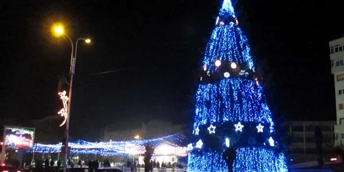 Bradul din centrul Rădăuţiului e copia fidelă a celui din Suceava