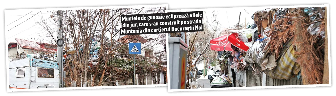
    Fotografii: Florin Şuler  