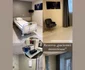 Aceasta este rezerva în care a fost internată Adina Postelnicu Sursa: Instagram