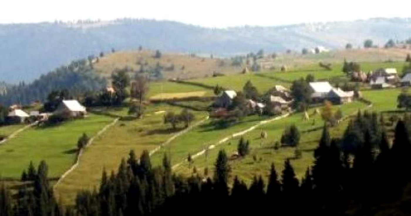 Incendiul de vegetaţie din apropierea zonei forestiere a satului Mărişel a fost stins