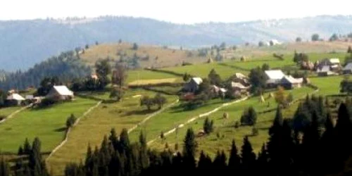 Incendiul de vegetaţie din apropierea zonei forestiere a satului Mărişel a fost stins