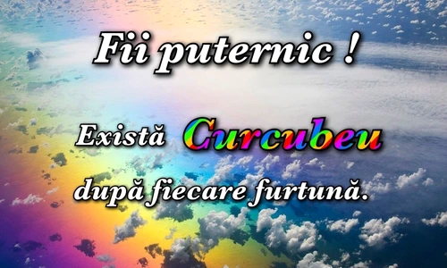 1 82805 original jpg jpeg