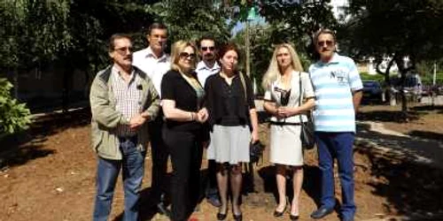 copacul medierii la turnu severin FOTO Corina Macavei 