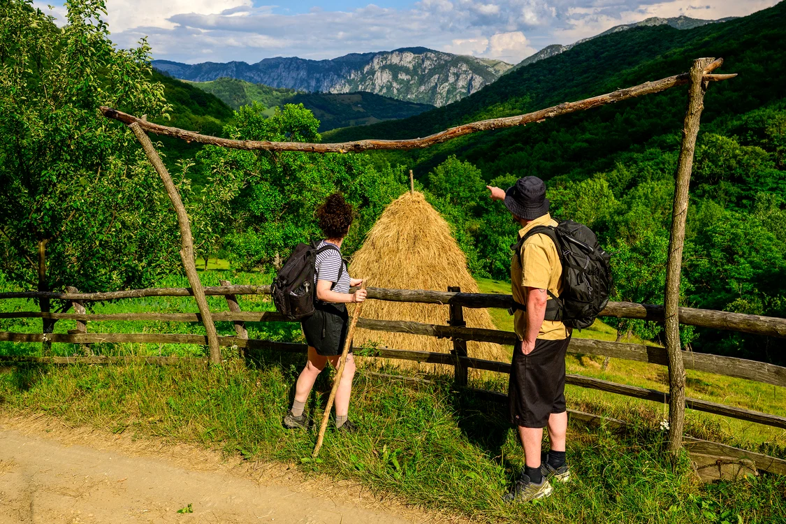 1  MedLife x Via Transilvanica studiu mers pe jos jpg