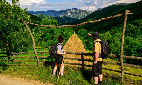 1  MedLife x Via Transilvanica studiu mers pe jos jpg