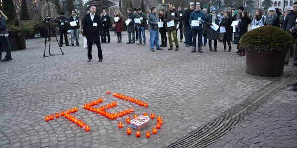 replantare tei iasi