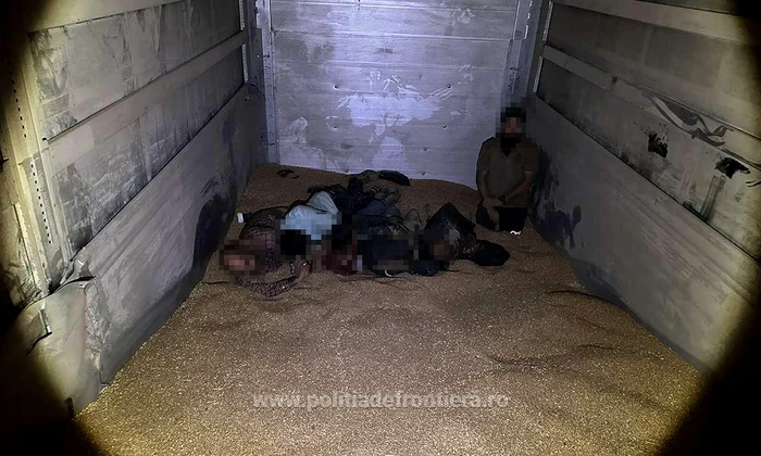 Cei șase erau ascunși în grâu FOTO Poliția de Frontieră 