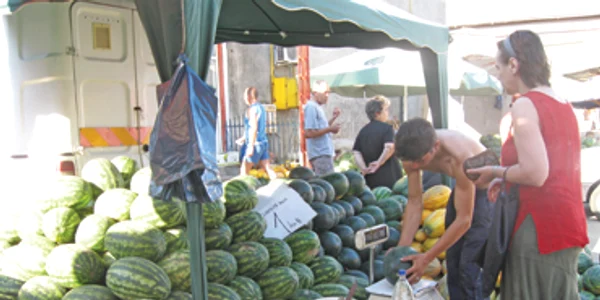 Pepenii, la mare căutare în pieţele din Slatina