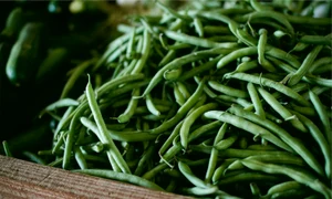 fasole verde jpeg