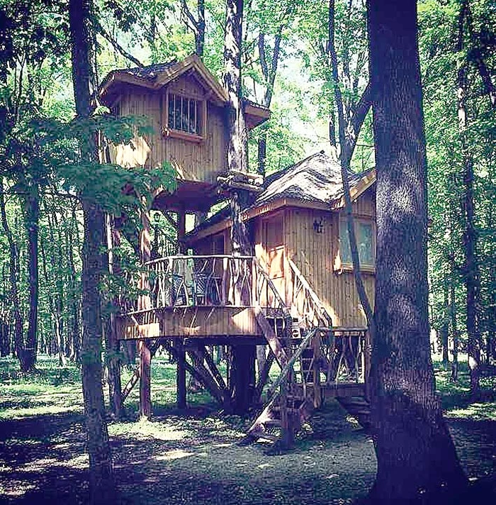 Căsuţa în care cei doi s-au iubit e cocoţată în copaci la 5 metri înălţime