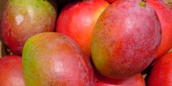 Printre marfa confiscată se găseşte şi mango 
