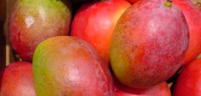 Printre marfa confiscată se găseşte şi mango 