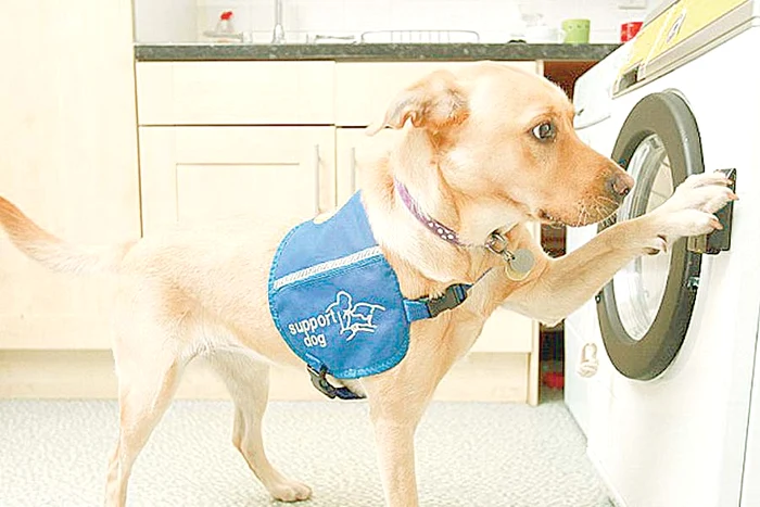 “Uf, să le pun la uscat!”