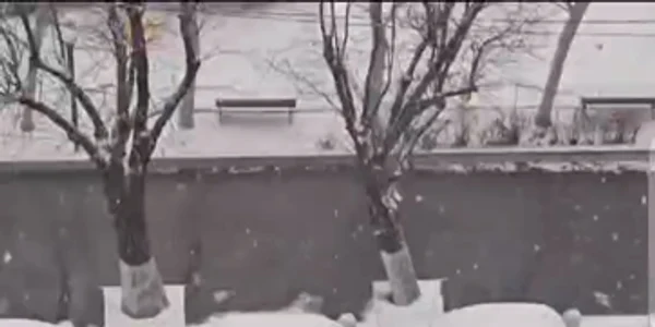 WhatsApp Video 2025 02 16 at 15 14 26 mp4 thumbnail png