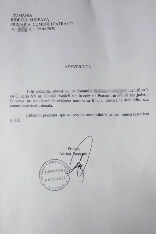 adevarinta eliberata de primaria patrauti
