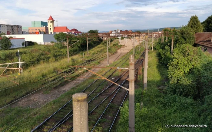 Bărbatul a scuturat un nuc aflat în apropierea căii ferate. Foto Adevărul