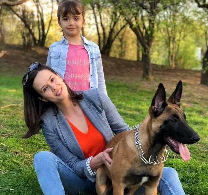 Arlo a fost tratat la Facultatea de Medicină Veterinară
