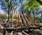 Scheletul bisericii de la Povergina a ajuns la Timișoara FOTO Ștefan Both