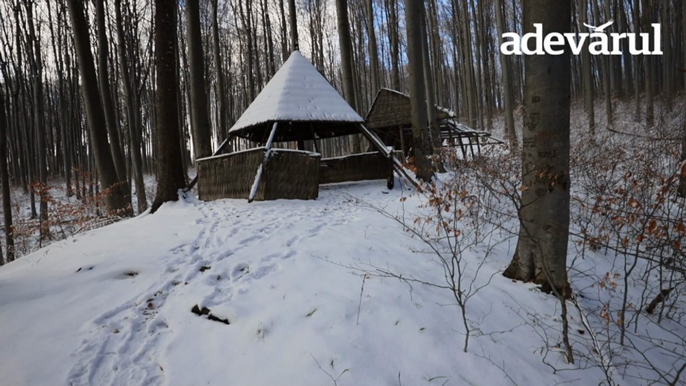 Locul straniu din Pădurea de Argint. Aici se află izvorul cu apă pură, căutat de un împărat
