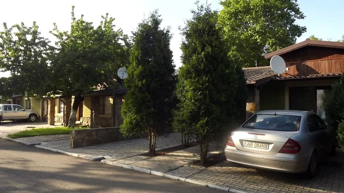 carier verde 