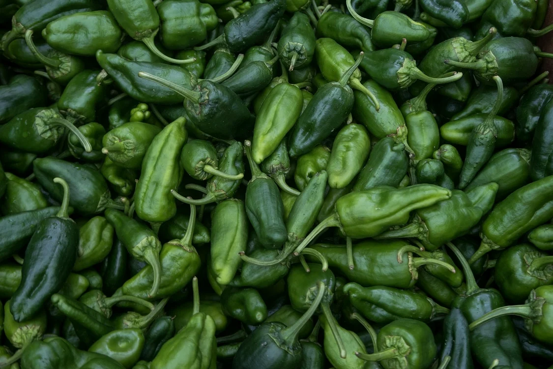 Ardei verzi. Foto: Pixabay