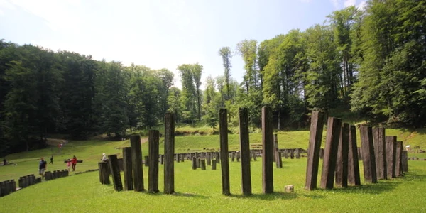 Sarmizegetusa Regia pentru Nicolae Ceauşescu