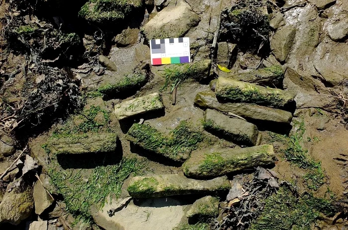 4cbc0888 f3e9 40d5 aaca f7892f3aafb0 1024x678 jpg