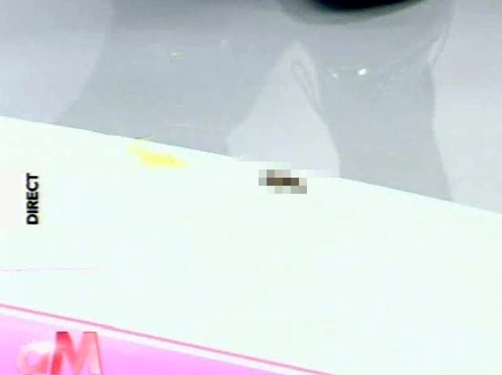 Premieră în emisiunea Mihaelei Rădulescu (Foto: captură video Realitatea TV)