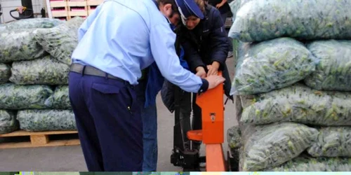 În urma controlului au fost aplicate 15 sancţiuni Foto