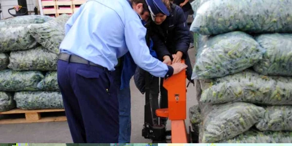 În urma controlului au fost aplicate 15 sancţiuni Foto