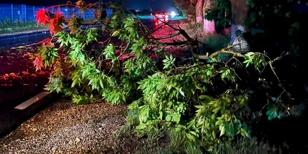 Crengi rupte şi copaci smulşi din rădăcină căzuţi pe carosabilul DN 64 în Drăgăşani - Vâlcea Foto ISU Vâlcea