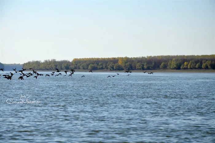 slobozia insula gasca un paradis in baragan foto balta mare a brailei